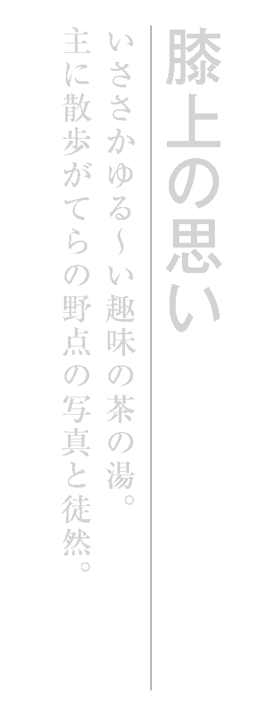 膝上の思い　いささかゆる〜い趣味の茶の湯。主に散歩がてらの野点の写真と徒然。